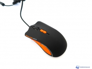 Ozone-Argon-Ocelote-34